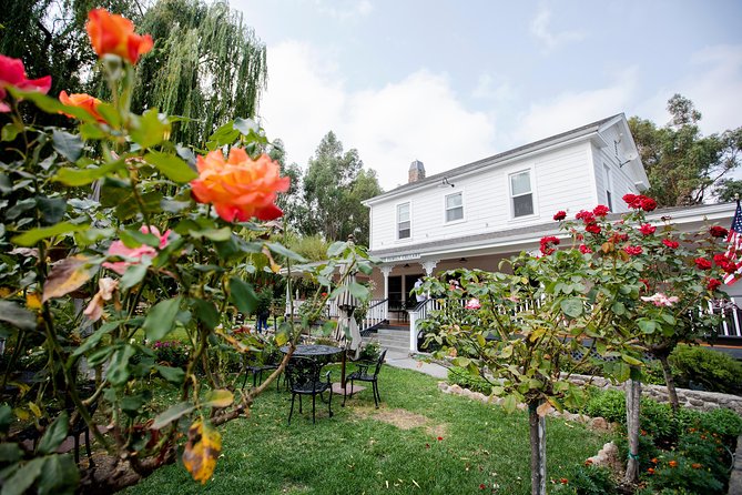 Napa and Sonoma Wine Country Full-Day Tour from San Francisco - A day built for first-time wine-country visitors