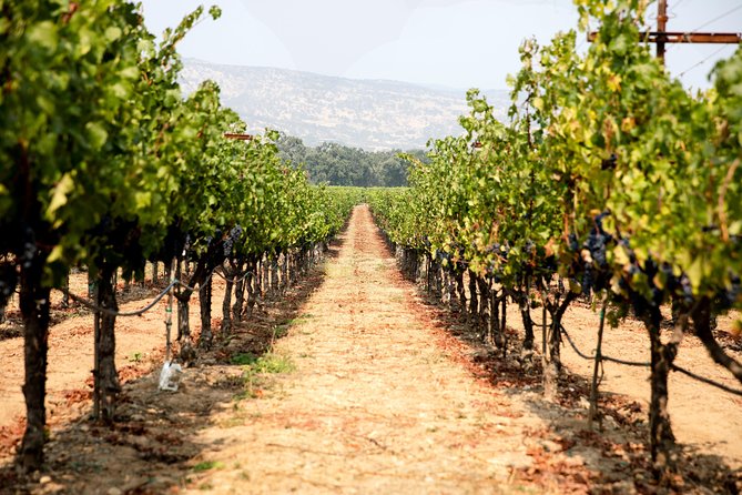 Napa and Sonoma Wine Country Full-Day Tour from San Francisco - Artesa Winery brings the best views