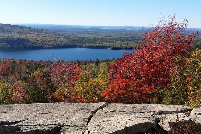 Narrated Bus Tour of Bar Harbor and Acadia National Park - The narration is what holds the short stops together
