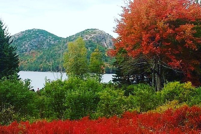 Narrated Bus Tour of Bar Harbor and Acadia National Park - Timing, traffic, and the fixed-route tradeoff