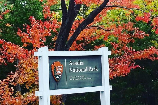 Narrated Bus Tour of Bar Harbor and Acadia National Park - Who will get the most from this tour