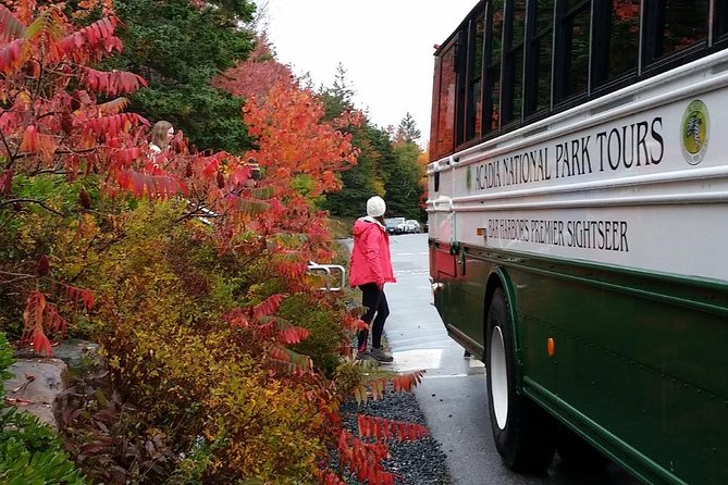 Narrated Bus Tour of Bar Harbor and Acadia National Park - Sieur de Monts Spring adds the park’s human story