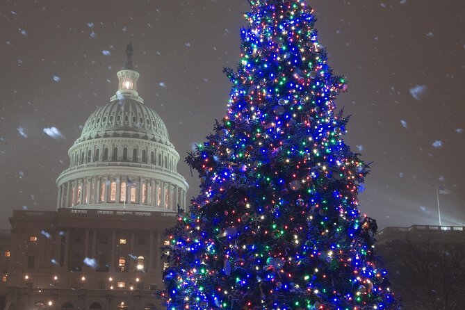 National Mall Monuments Night Tour with 10+ Stops, Entry Tickets - Vietnam Memorial and the Vietnam Women’s Memorial