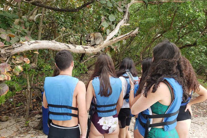 Nature & Island Exploration on SUP/Kayak - What this Miami water adventure really is