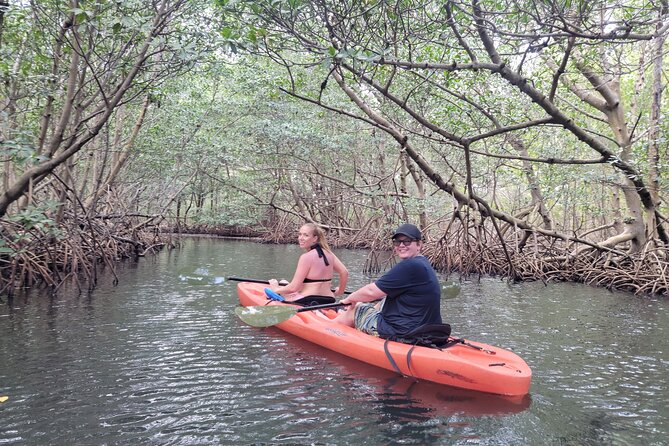 Nature & Island Exploration on SUP/Kayak - Raccoon Island and the swimming stop