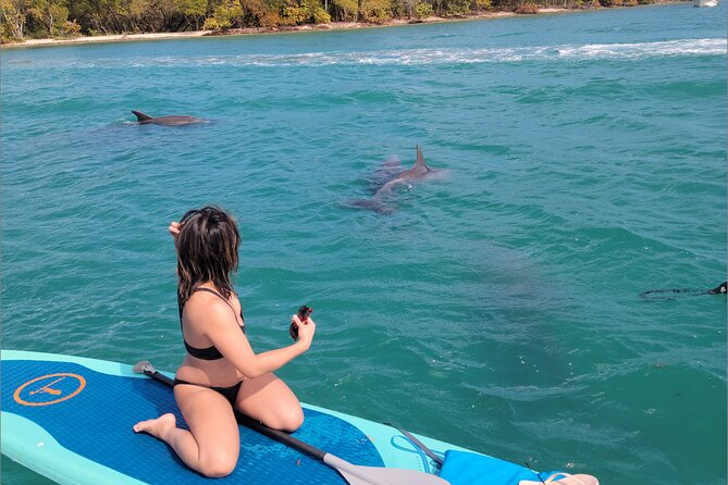 Nature & Island Exploration on SUP/Kayak - How the guides shape the day