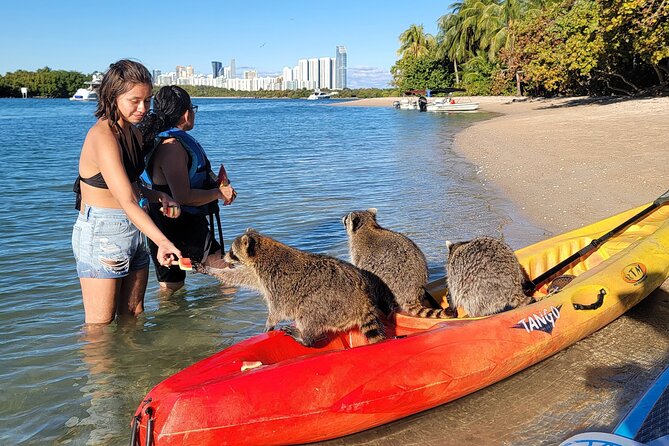 Nature & Island Exploration on SUP/Kayak - Practical preparation for the afternoon
