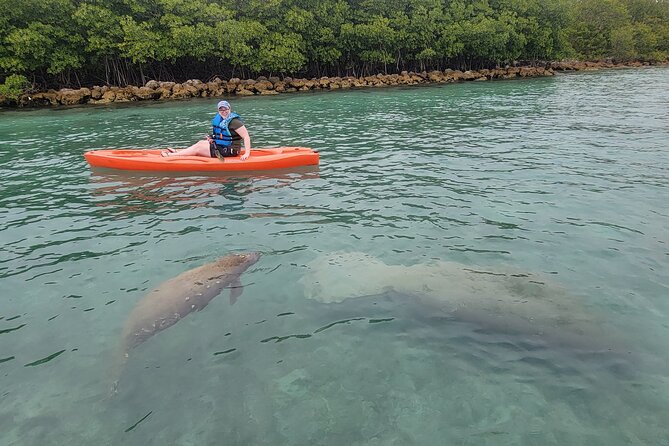 Nature & Island Exploration on SUP/Kayak - Paddling through the mangrove canals