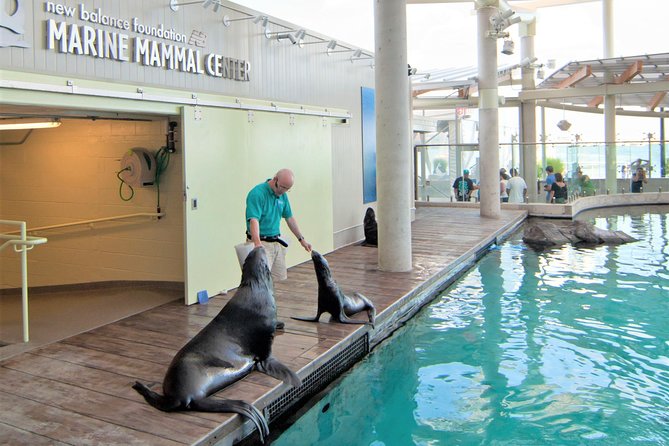 New England Aquarium Admission Ticket in Boston - Myrtle the sea turtle and the smaller exhibits