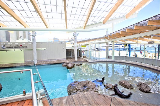 New England Aquarium Admission Ticket in Boston - Touch tanks and hands-on moments
