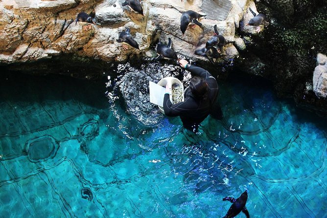New England Aquarium Admission Ticket in Boston - How long the visit takes and how to pace it