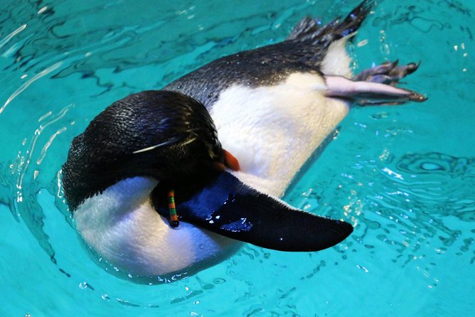 New England Aquarium Admission Ticket in Boston - Who will enjoy this Boston aquarium most