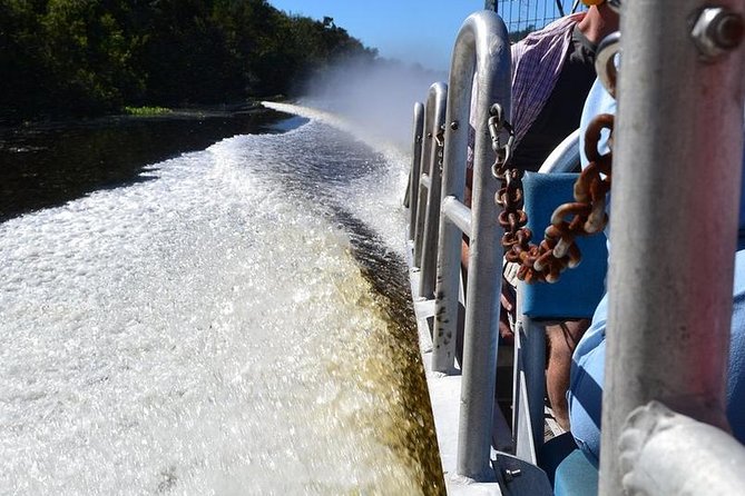New Orleans Airboat Ride - Birds and other swamp wildlife