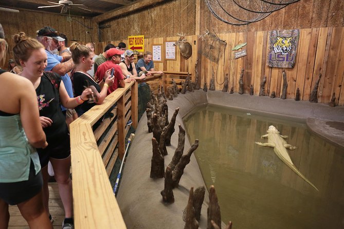 New Orleans Airboat Ride - What the price includes, and what it does not