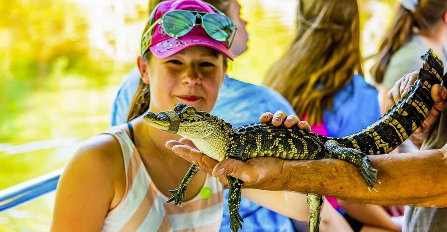 New Orleans: Bayou Swamp Tour and Oak Alley Plantation Tour - Key points at a glance