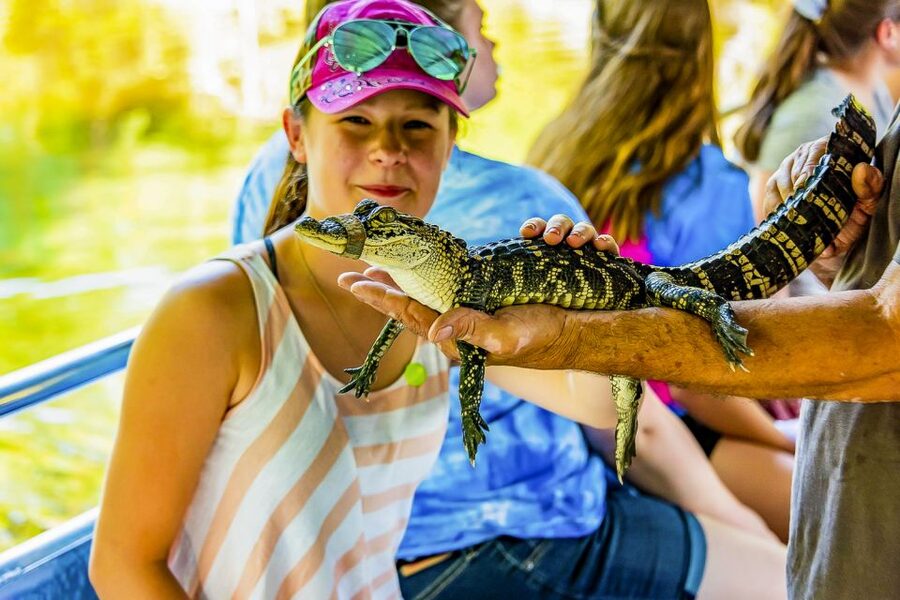 New Orleans: Bayou Swamp Tour and Oak Alley Plantation Tour - Why this pairing works so well