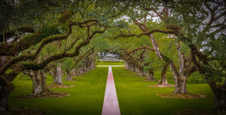 New Orleans: Bayou Swamp Tour and Oak Alley Plantation Tour - Manchac Bayou and the Cajun Pride boat