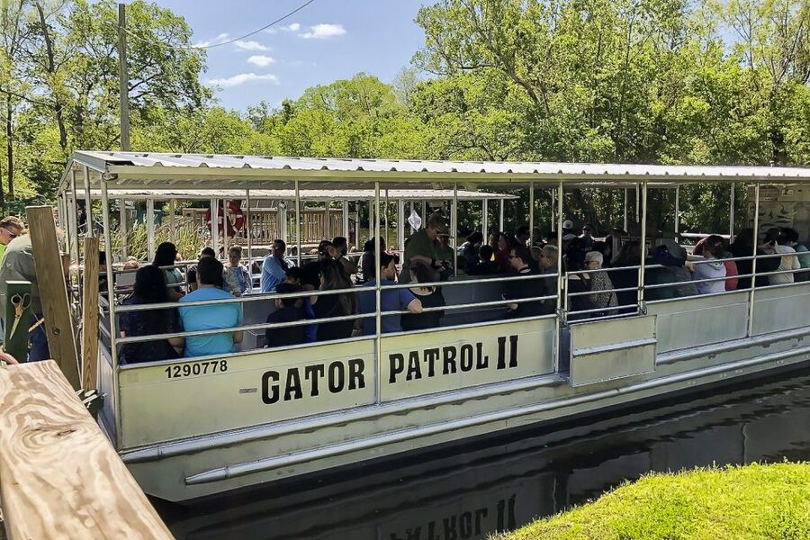 New Orleans: Bayou Swamp Tour and Oak Alley Plantation Tour - The return ride and the shape of the day