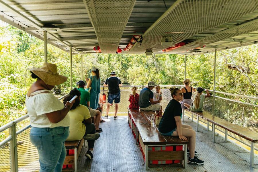 New Orleans: Bayou Tour in Jean Lafitte National Park - Key points at a glance
