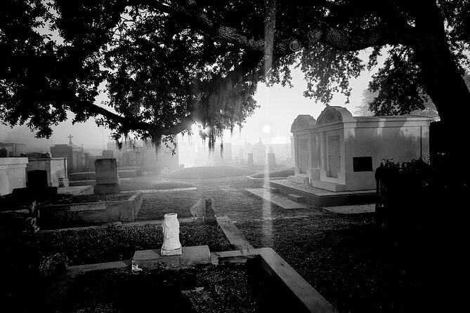 New Orleans Cemetery Bus Tour with Exclusive Cemetery Access - Why New Orleans cemeteries need a different kind of tour