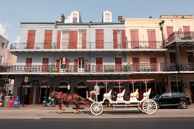 New Orleans City Sightseeing Hop-On Hop-Off Bus Tour - Marigny, Bywater, and Frenchmen Street