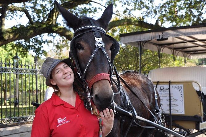 New Orleans French Quarter and More Carriage Ride - Fire, battle, and the architecture of the Vieux Carré