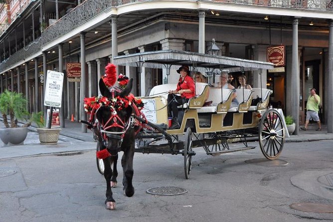 New Orleans French Quarter and More Carriage Ride - Comfort, timing, and the mule-drawn carriage