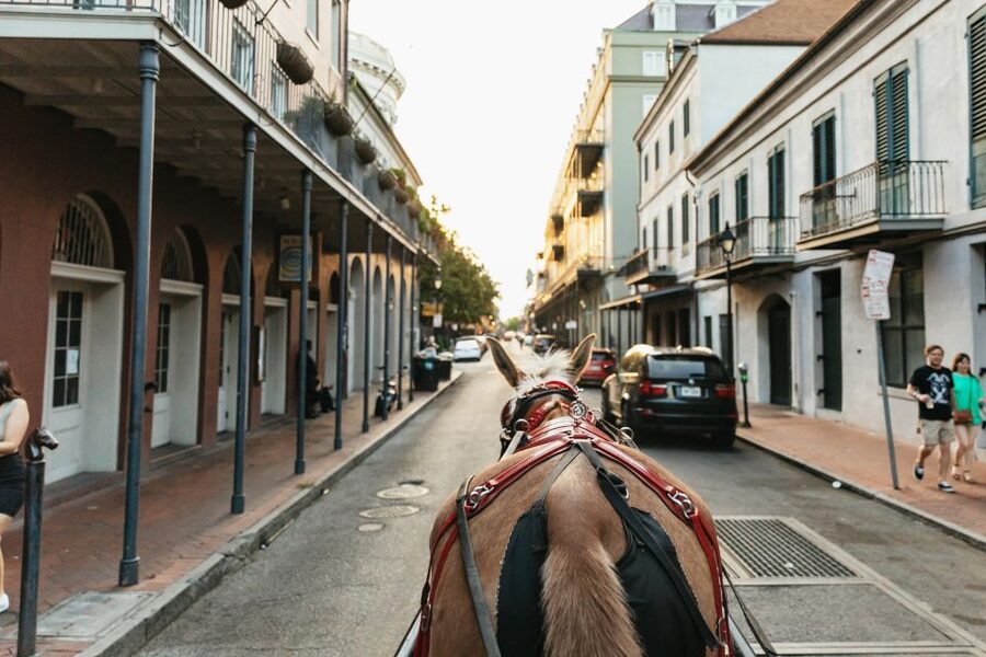 New Orleans: French Quarter Sightseeing Carriage Ride - Crossing into Faubourg Marigny