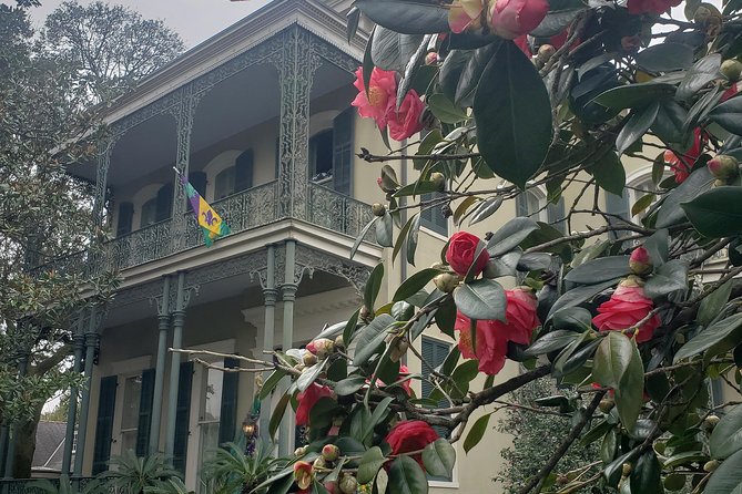 New Orleans Garden District History Walking Tour - Choosing the right time and guide