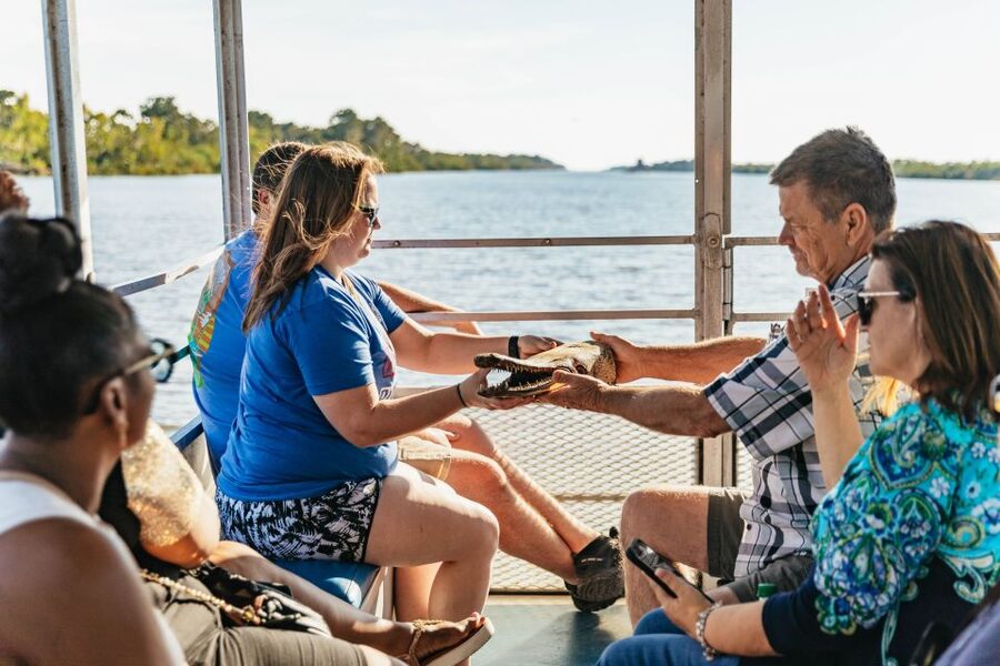 New Orleans: Guided Swamp Cruise by Tour Boat - What the tour costs and what you receive