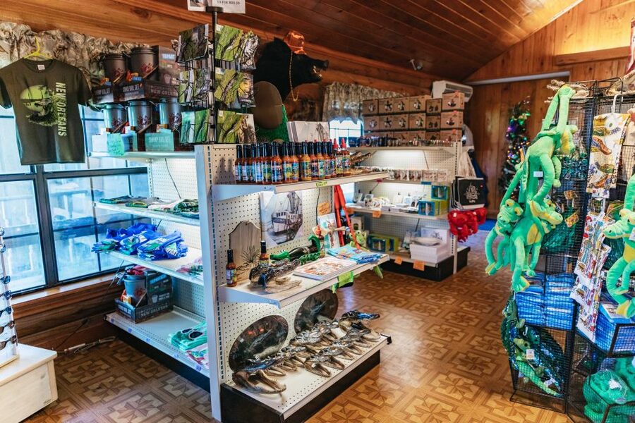New Orleans: Guided Swamp Cruise by Tour Boat - Practical ways to get more from the outing