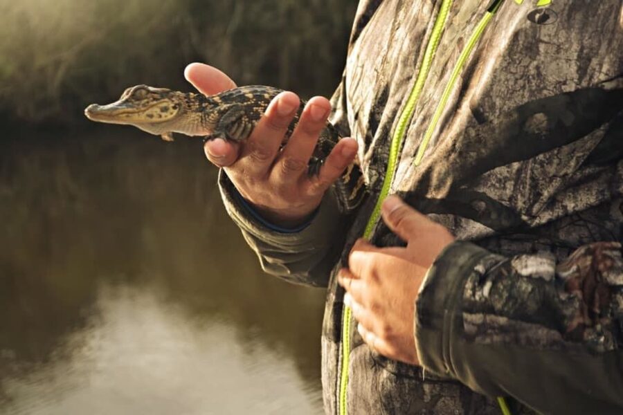 New Orleans: High Speed 16 Passenger Airboat Ride - Alligators, birds, and the luck of the day