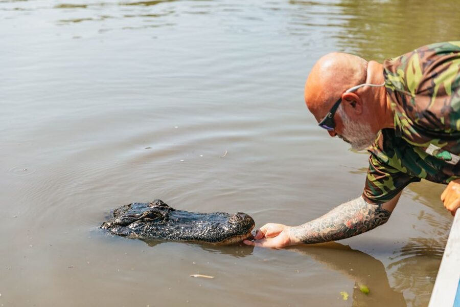 New Orleans: High Speed 9 Passenger Airboat Tour - Who will enjoy this New Orleans day trip?