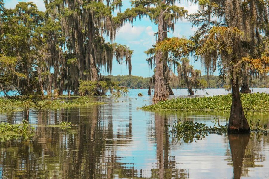 New Orleans: High Speed 9 Passenger Airboat Tour - Why the nine-person boat matters