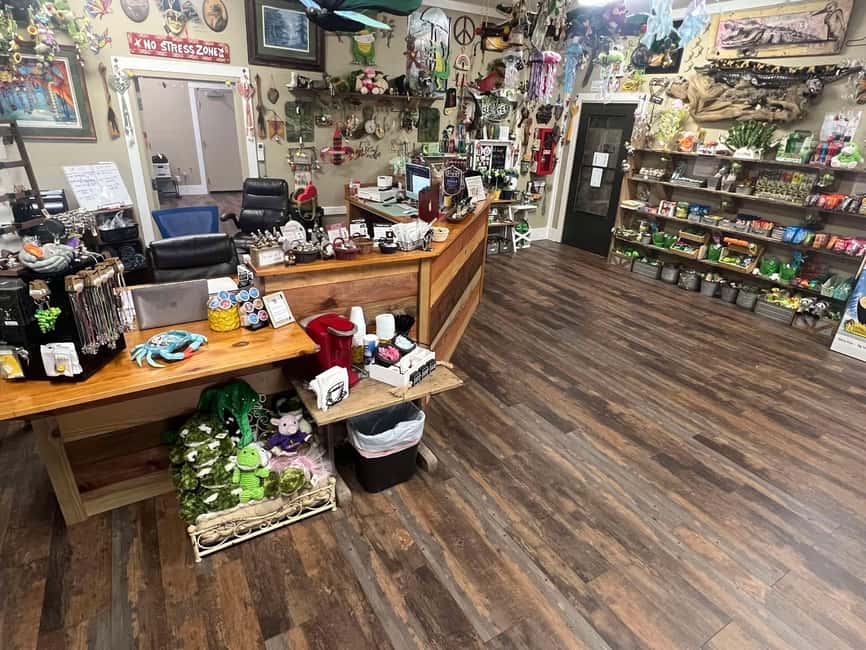 New Orleans Manchac Bayou Swamp Cruise W/ Optional Pick-Up - Frenier, Cajun stories, and the Louisiana wetlands