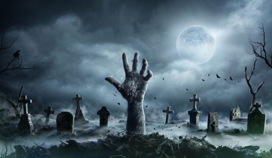 New Orleans: Night Cemetery and Ghost BYOB Bus Tour - Why New Orleans cemeteries look so different