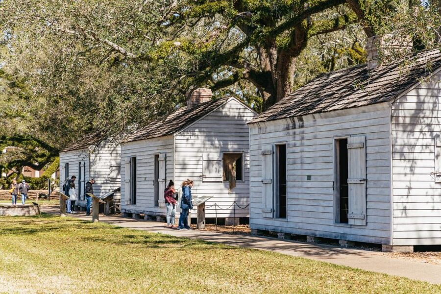 New Orleans: Oak Alley Plantation & Airboat Swamp Combo Tour - What to bring and how to make the day better