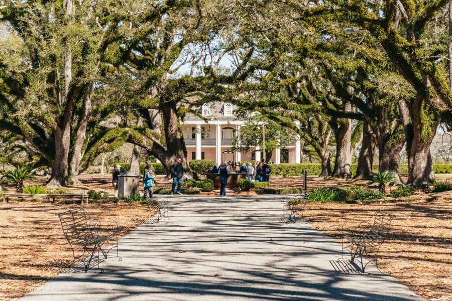 New Orleans: Oak Alley Plantation & Airboat Swamp Combo Tour - Two Louisiana stories in one long day