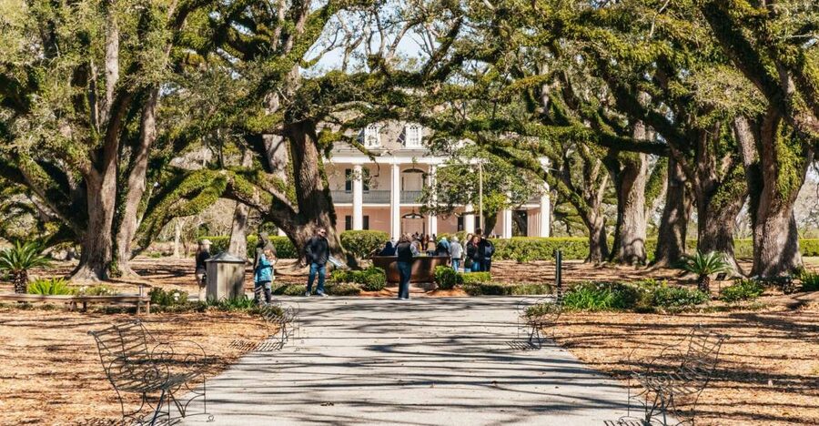 New Orleans: Oak Alley Plantation & Airboat Swamp Combo Tour - Oak Alley’s grand entrance and difficult past