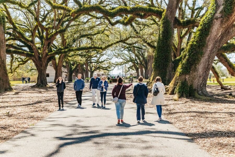 New Orleans: Oak Alley Plantation & Airboat Swamp Combo Tour - How long the day feels