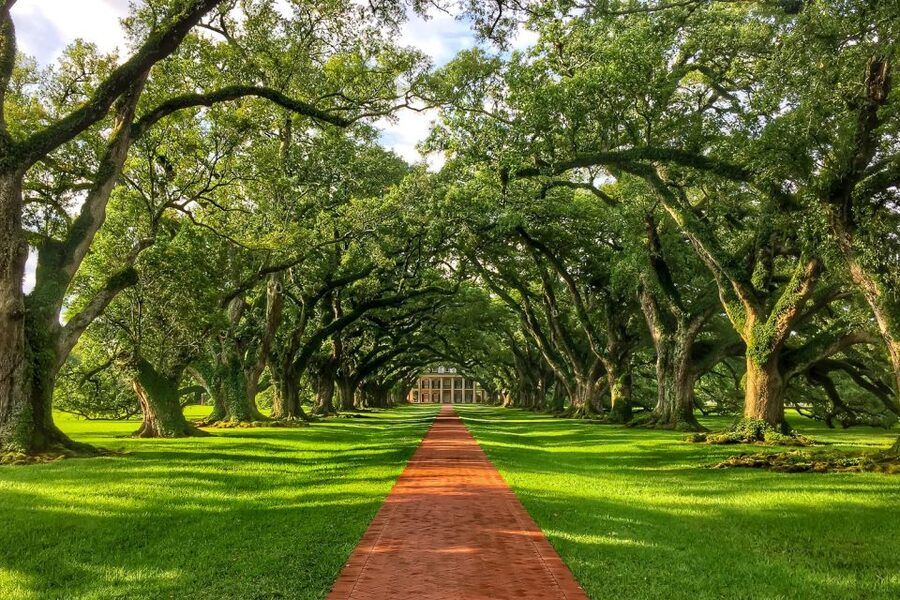 New Orleans: Oak Alley Plantation Tour with Transportation - Key points at a glance