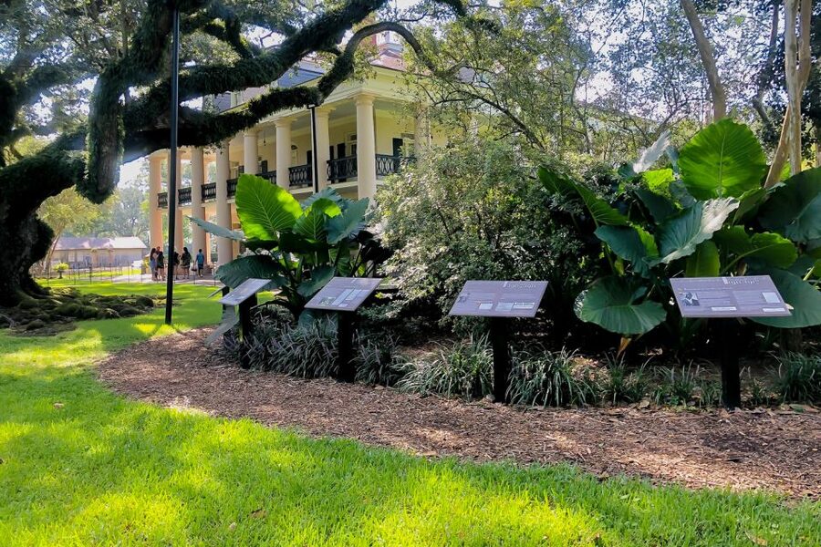 New Orleans: Oak Alley Plantation Tour with Transportation - Gardens, forge, and self-guided time