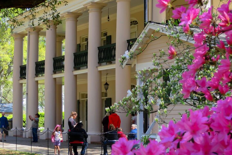 New Orleans: Oak Alley Plantation Tour with Transportation - Access, timing, and practical rules