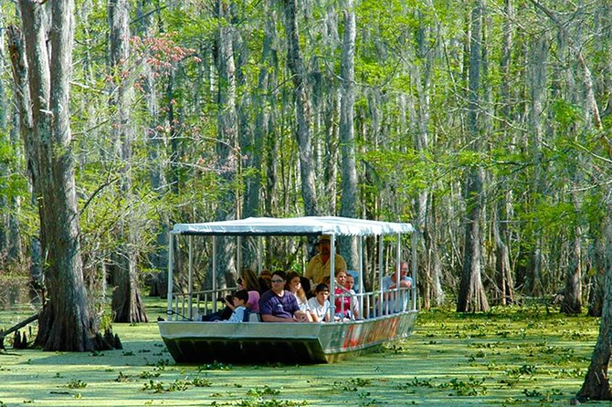 New Orleans Self-Transport Swamp and Bayou Boat Tour - Why Honey Island Swamp is worth the trip from New Orleans