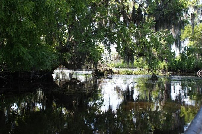 New Orleans Small-Group Airboat Swamp Tour - Why this small airboat feels different