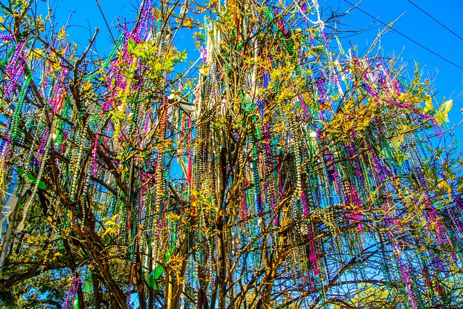New Orleans Small-Group City Tour by Van - Van comfort, timing, and the value of hotel pickup