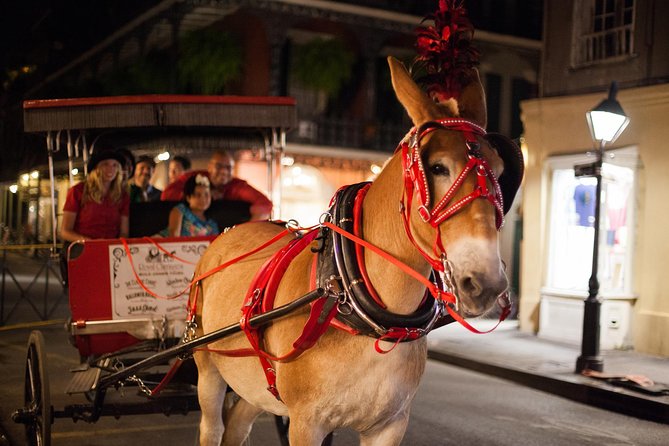 New Orleans Small-Group Haunted History Carriage Tour - Why the mule’s pace works in the French Quarter