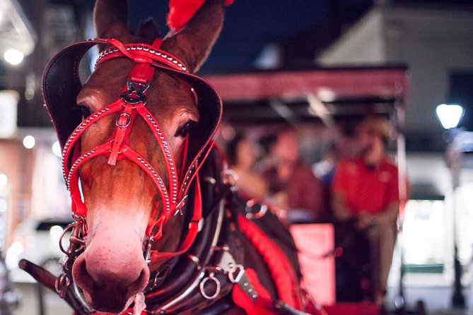 New Orleans Small-Group Haunted History Carriage Tour - Starting at Jackson Square and 700 Decatur Street