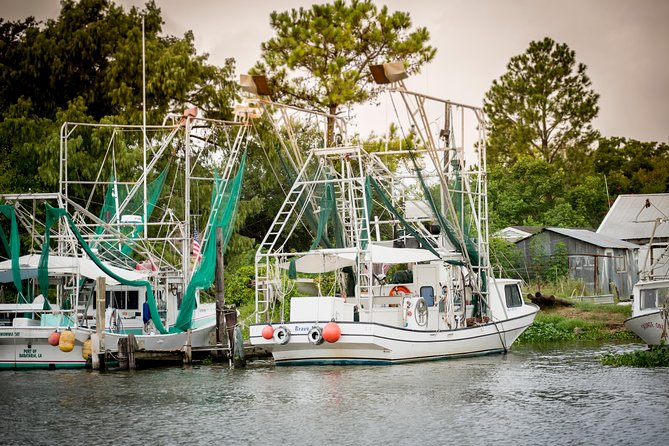 New Orleans Swamp and Bayou Alligator Tour - Is $35 a good value?