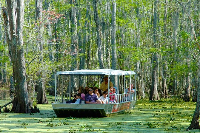 New Orleans Swamp and Bayou Boat Tour with Transportation - Should you book the Honey Island Swamp tour?